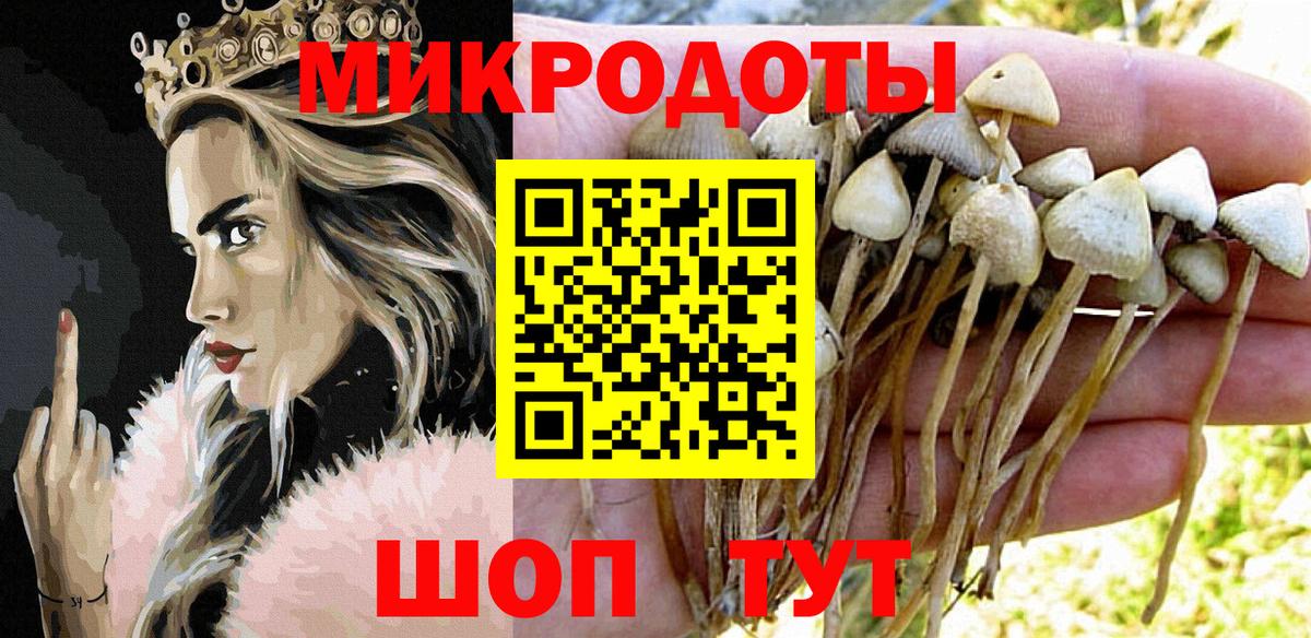 Галлюциногенные грибы Psilocybine cubensis  Вход с VPN  Смоленск 